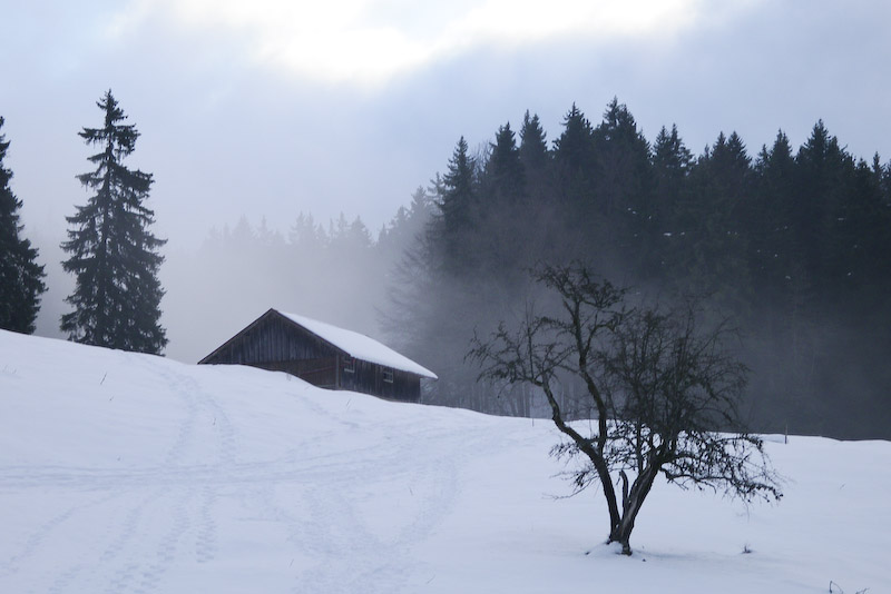 Au Marchairuz, déc. 2008 Au Marchairuz